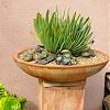     
: succulent-garden-in-home-and-outdoor2-2.jpg
: 777
:	159.6 
ID:	16139