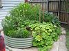     
: VegGarden.jpg
: 1052
:	98.6 
ID:	19303