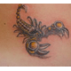   asscorpio